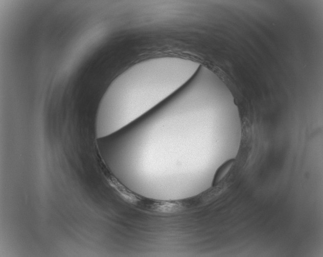 X0000082180527200701191056
