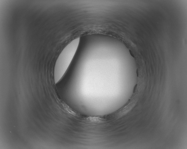 X0000082180528200701191056