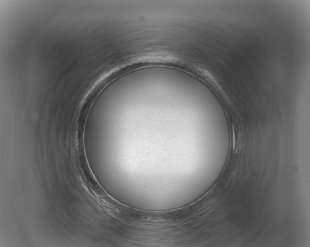 X0000082180531200701191055