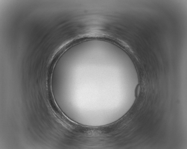 X0000082180535200701191055