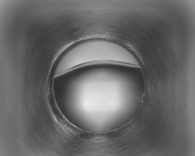 X0000082180536200701191055