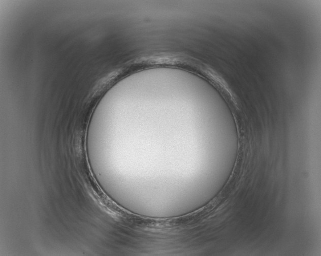 X0000082180537200701191055