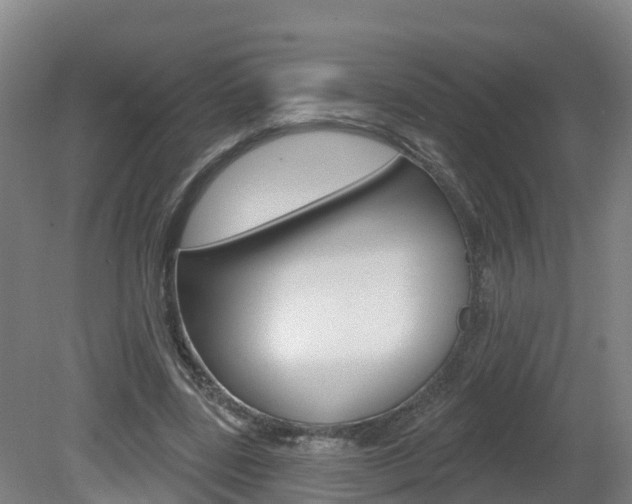 X0000082180539200701191055