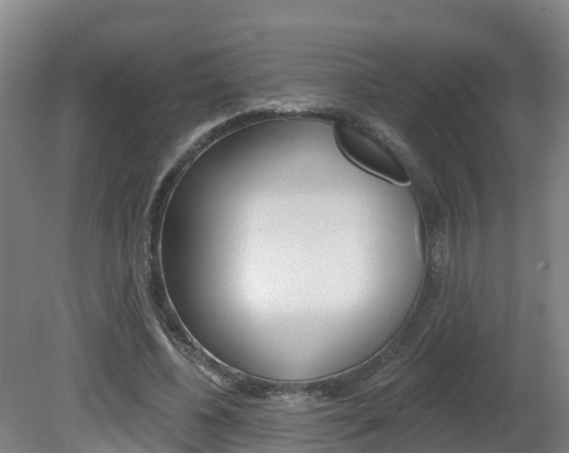 X0000082180540200701191055