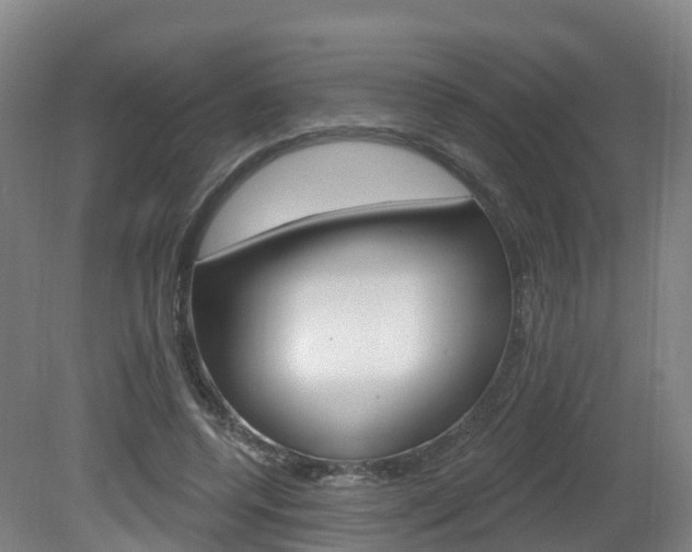 X0000082180544200701191055