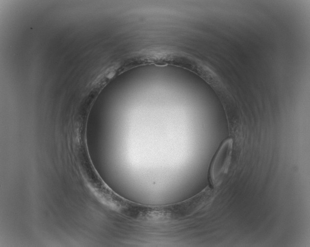 X0000082180546200701191055