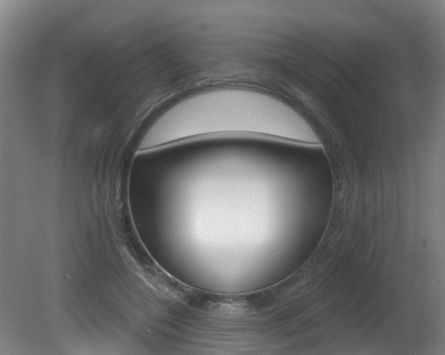 X0000082180548200701191055