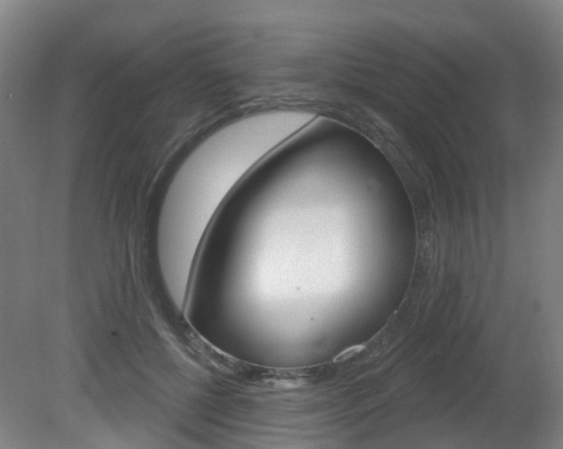 X0000082180552200701191055