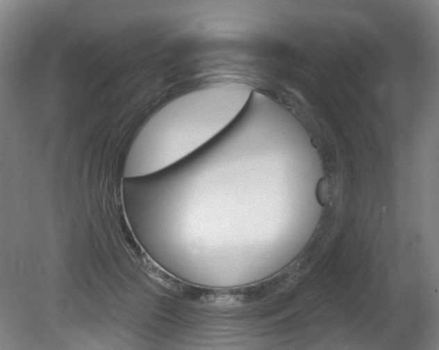 X0000082180553200701191055