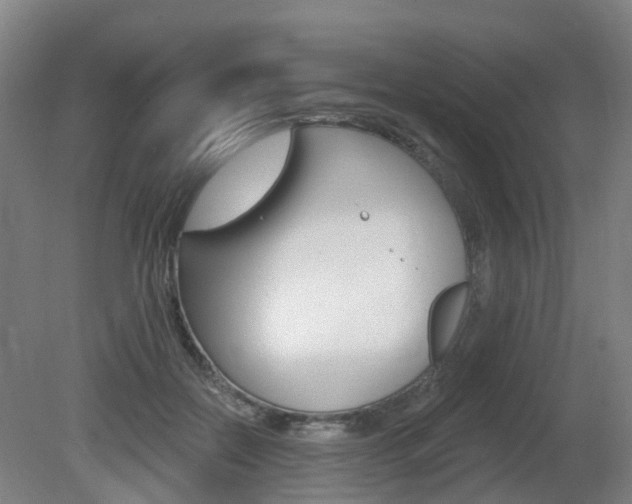 X0000082180554200701191055