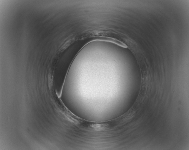 X0000082180558200701191055