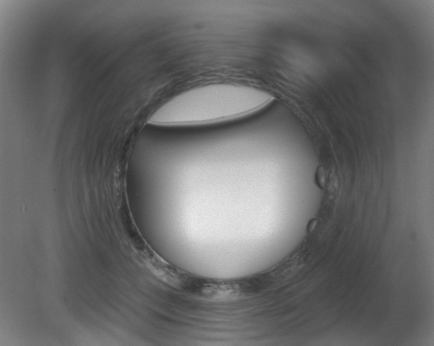 X0000082180559200701191055