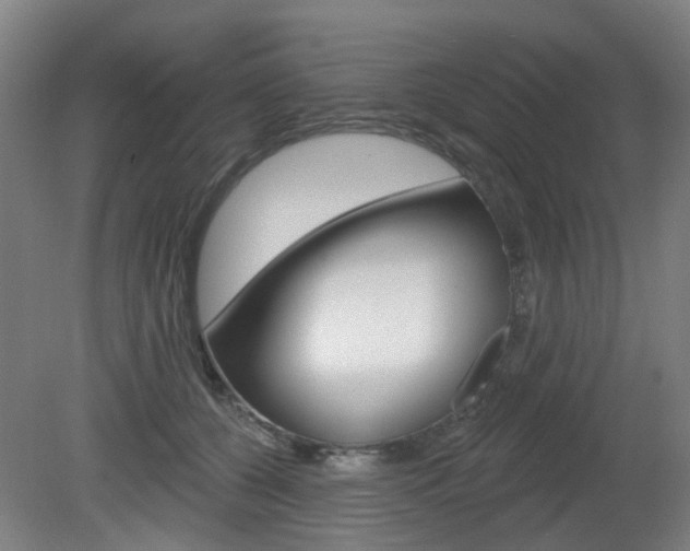 X0000082180560200701191055