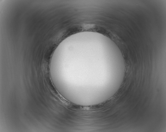 X0000082180565200701191055