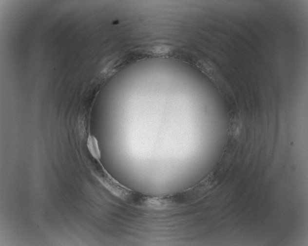 X0000082180568200701191055