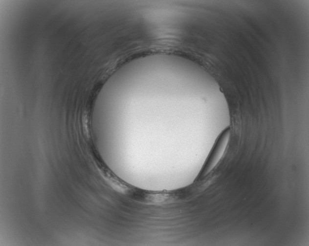 X0000082180575200701191056