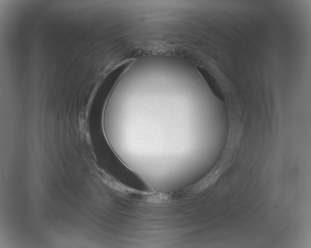X0000082180576200701191056