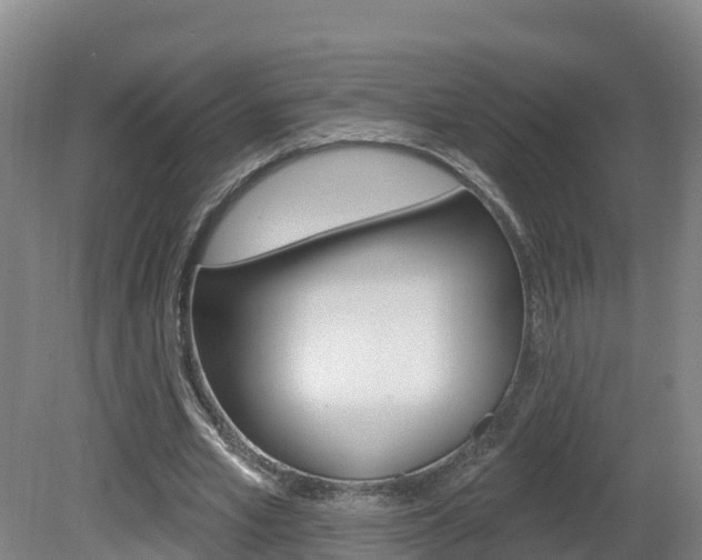 X0000082180581200701191055