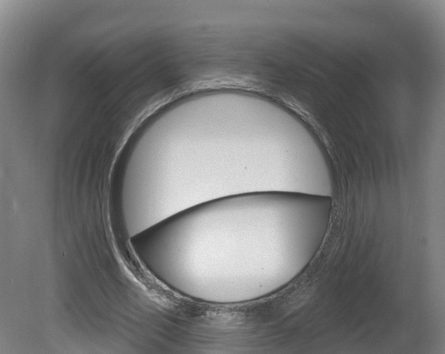 X0000082180582200701191055