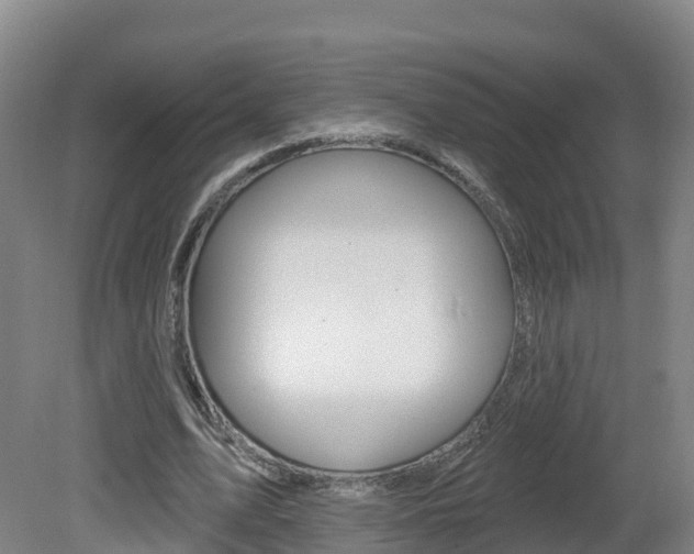 X0000082180583200701191055