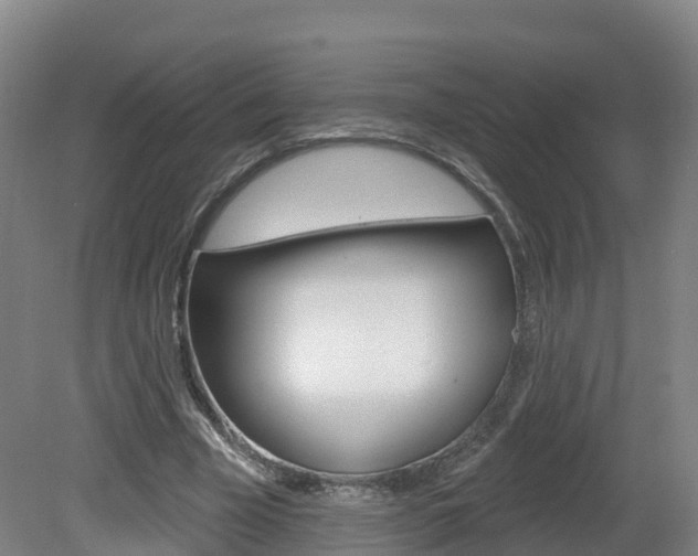 X0000082180585200701191055