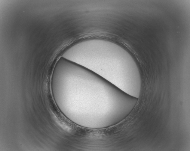 X0000082180586200701191055