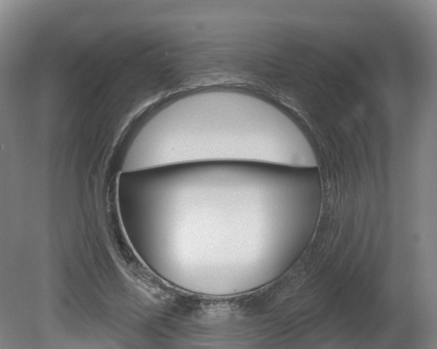 X0000082180587200701191055