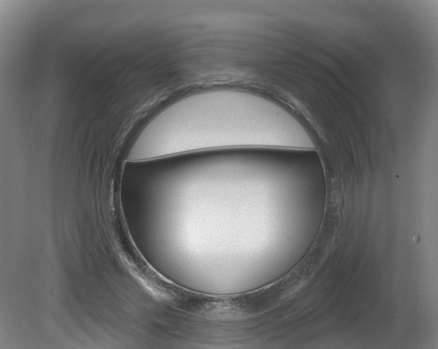 X0000082180589200701191055