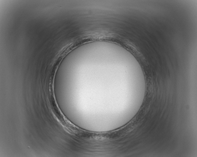 X0000082180590200701191055
