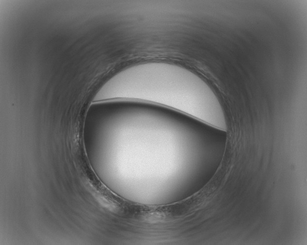 X0000082180593200701191055