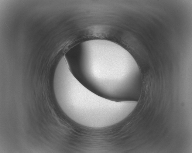 X0000082180595200701191054