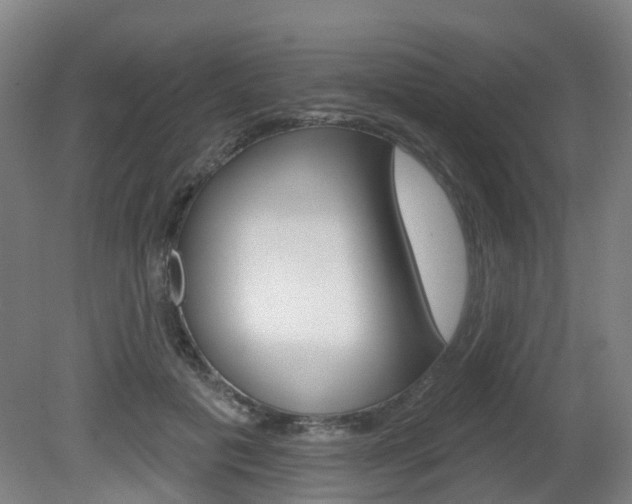 X0000082180601200701191054