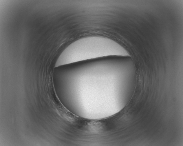 X0000082180603200701191054