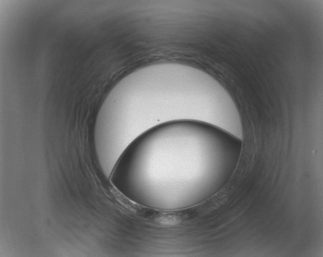 X0000082180604200701191054