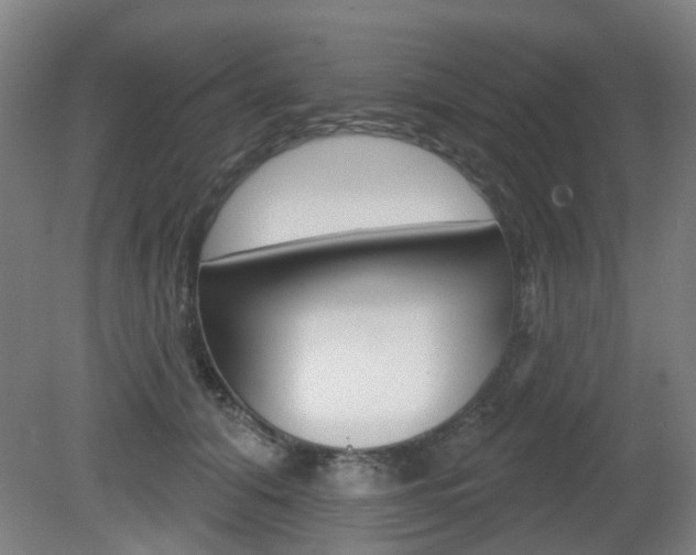 X0000082180608200701191054