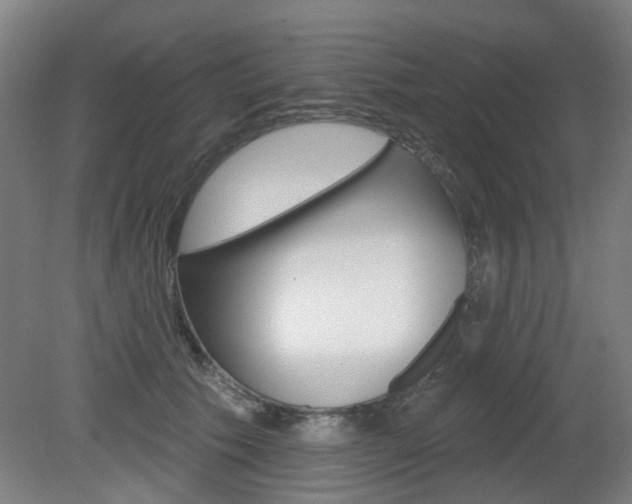 X0000082180609200701191054