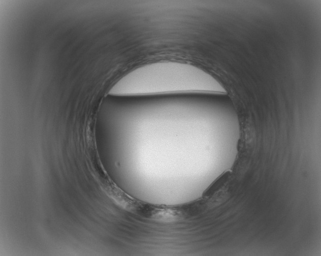 X0000082180611200701191054