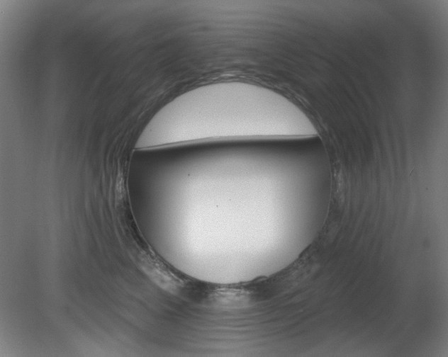 X0000082180617200701191054