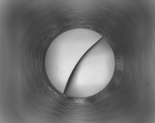 X0000082180618200701191054