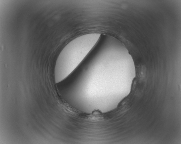 X0000082180619200701191054