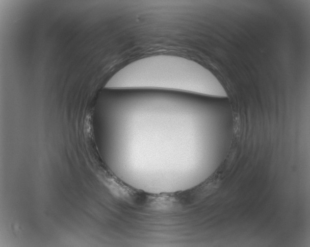X0000082180621200701191054