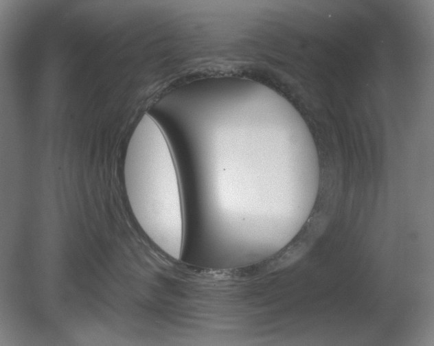 X0000082180624200701191054