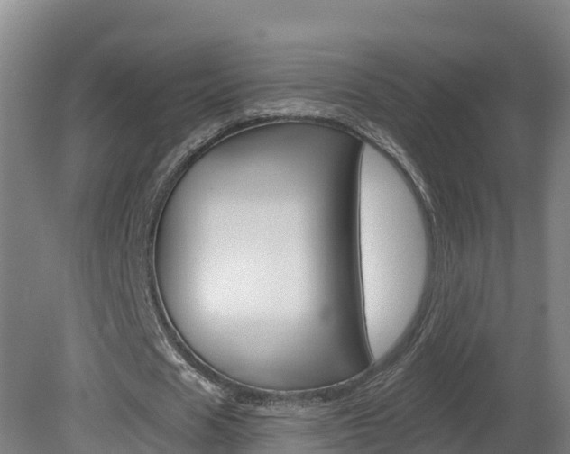 X0000082180625200701191053