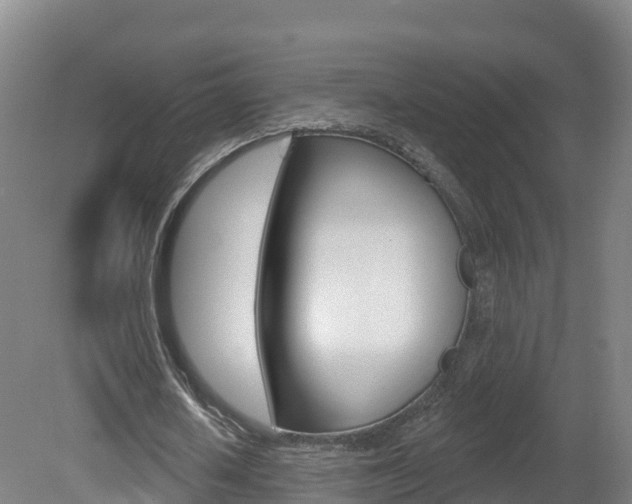 X0000082180626200701191053