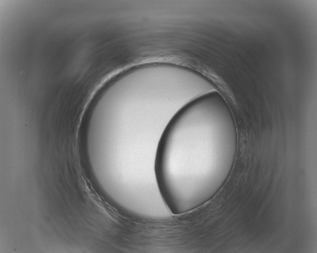 X0000082180628200701191053