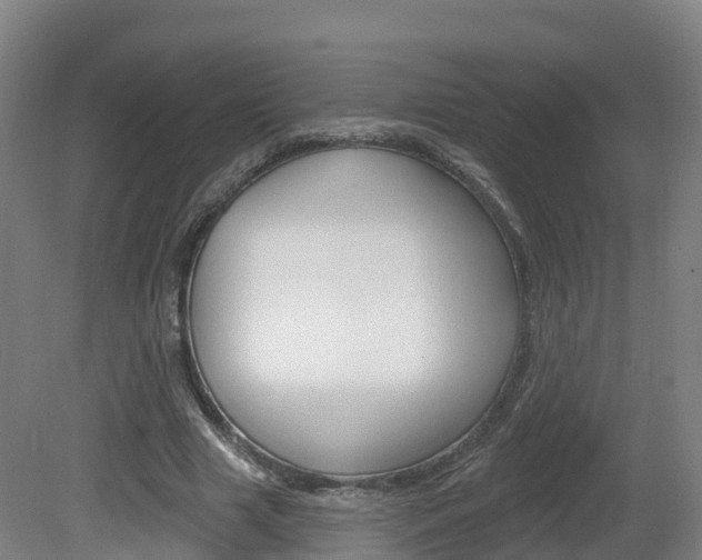 X0000082180633200701191053