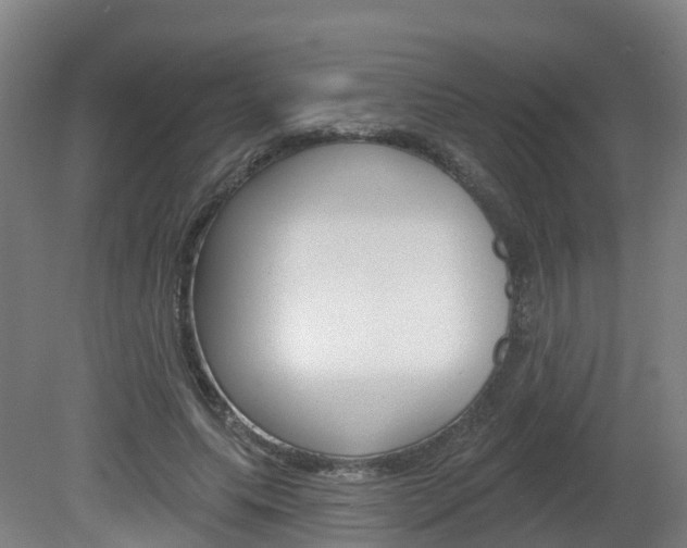 X0000082180639200701191053