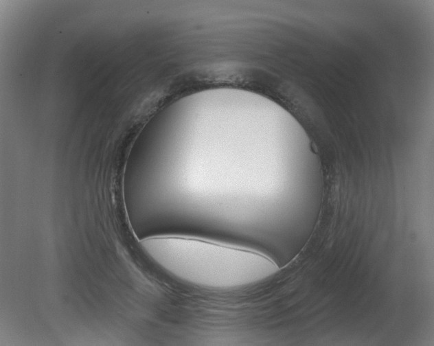 X0000082180643200701191053