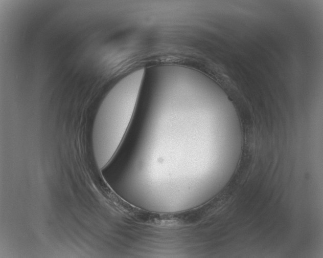 X0000082180645200701191054