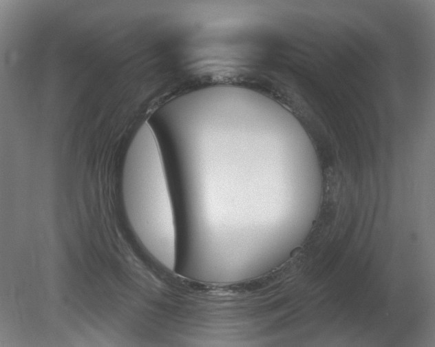 X0000082180650200701191054